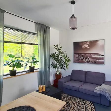 Studio Tussen De Bossen En De Bollenvelden 诺德克豪特 外观 照片