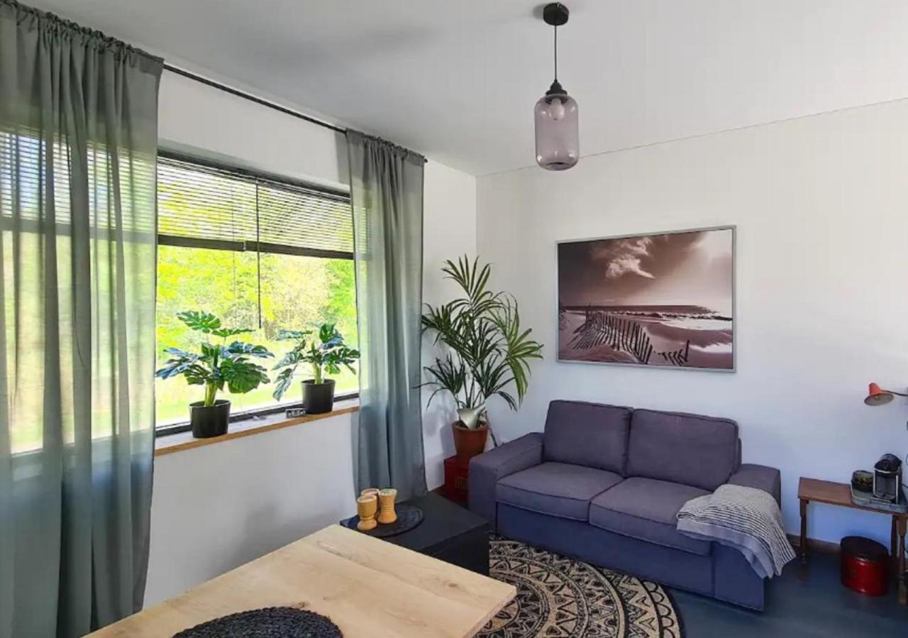 Studio Tussen De Bossen En De Bollenvelden 诺德克豪特 外观 照片